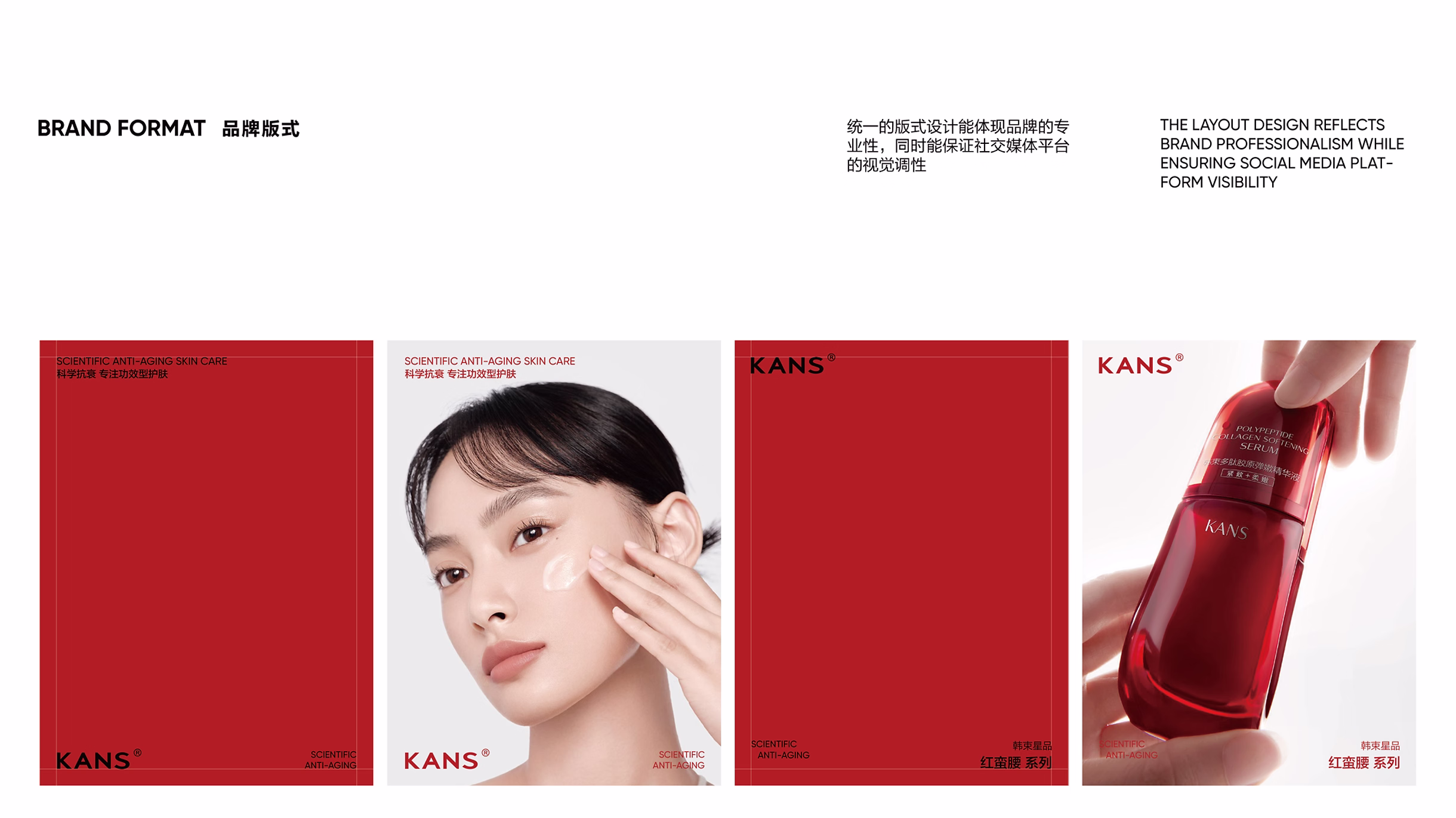 KANS project image 12