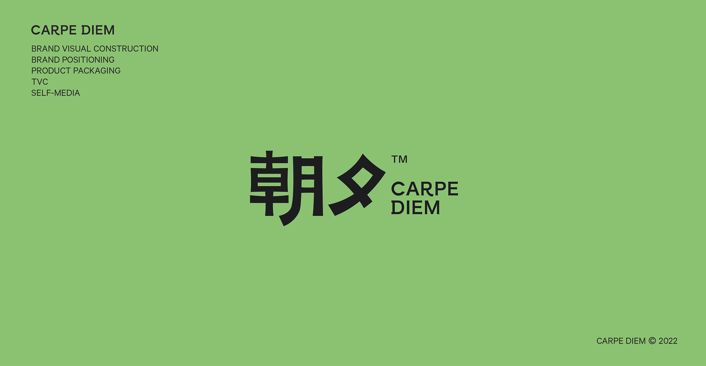 CARPE DIEM project image 3
