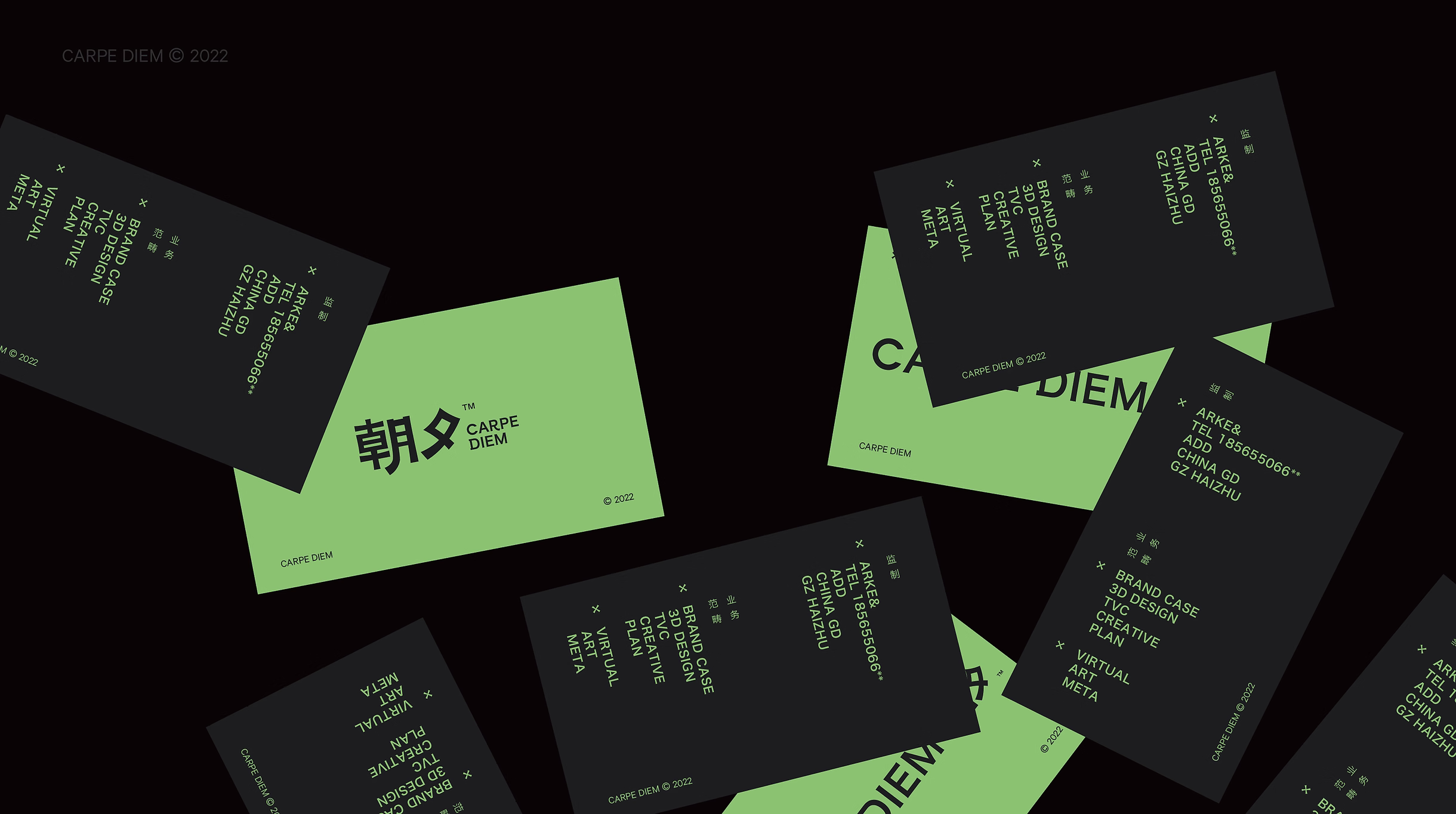 CARPE DIEM project image 8