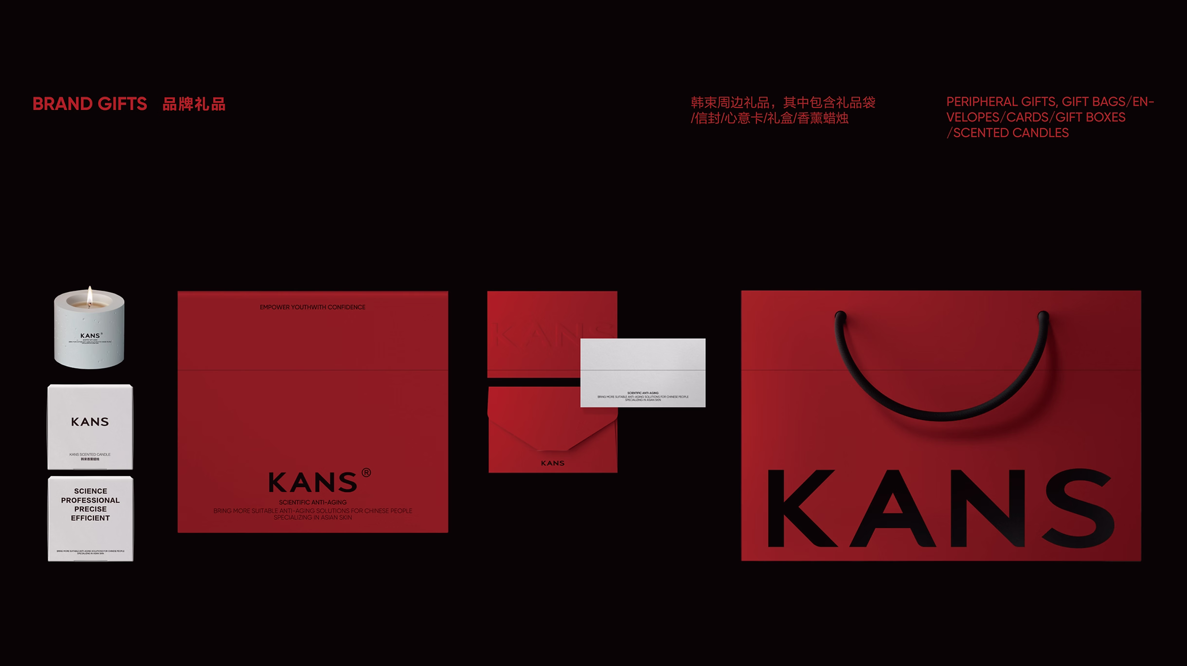 KANS project image 17