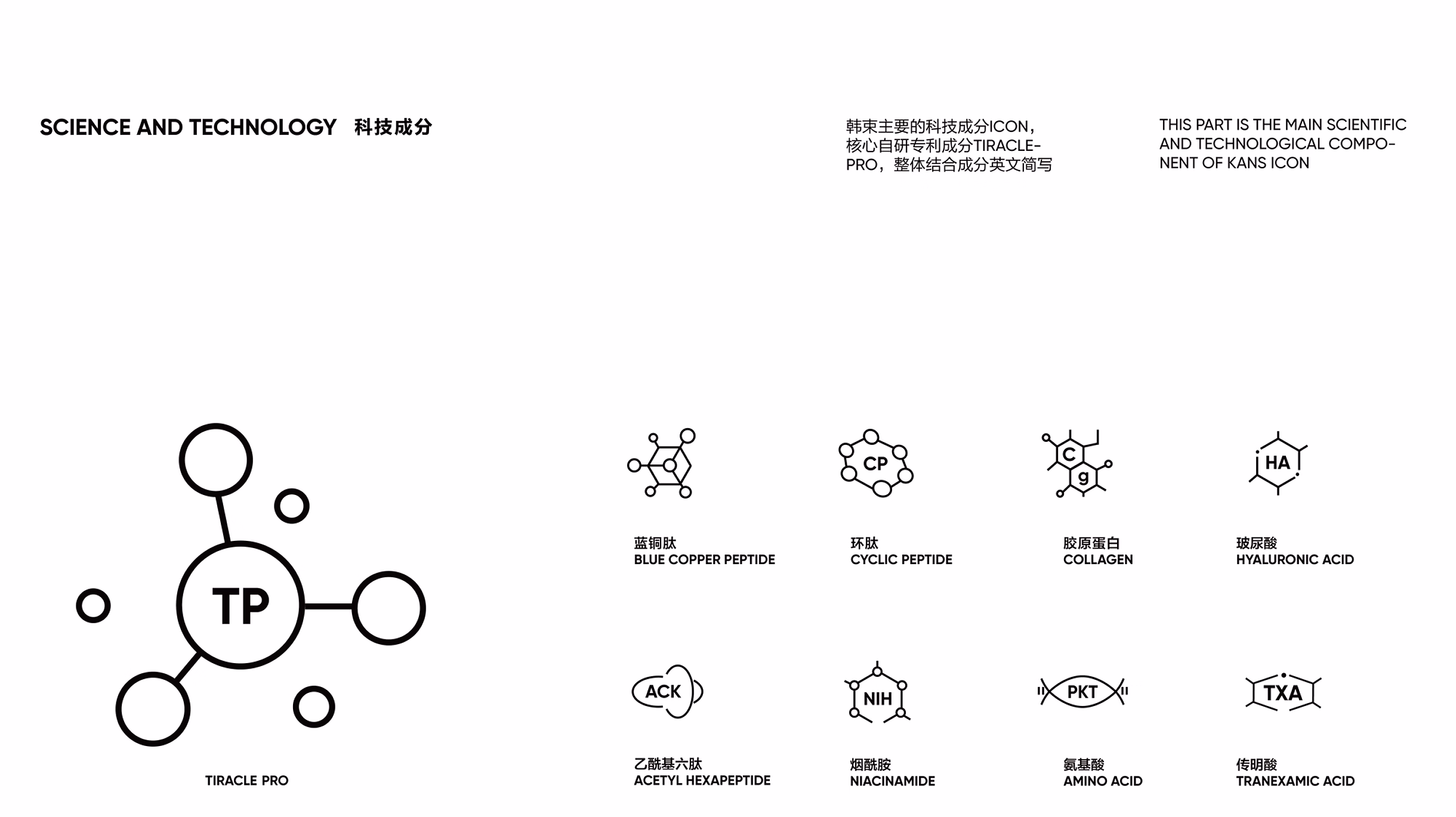 KANS project image 15